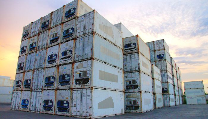 supplier container reefer Jakarta