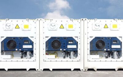 Rental Reefer Container Baru – Jaminan Kualitas untuk Kebutuhan Bisnis Anda